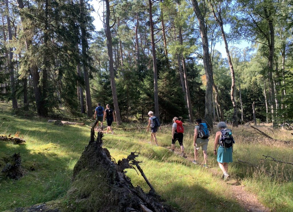 Stillevandring Tisvilde Hegn